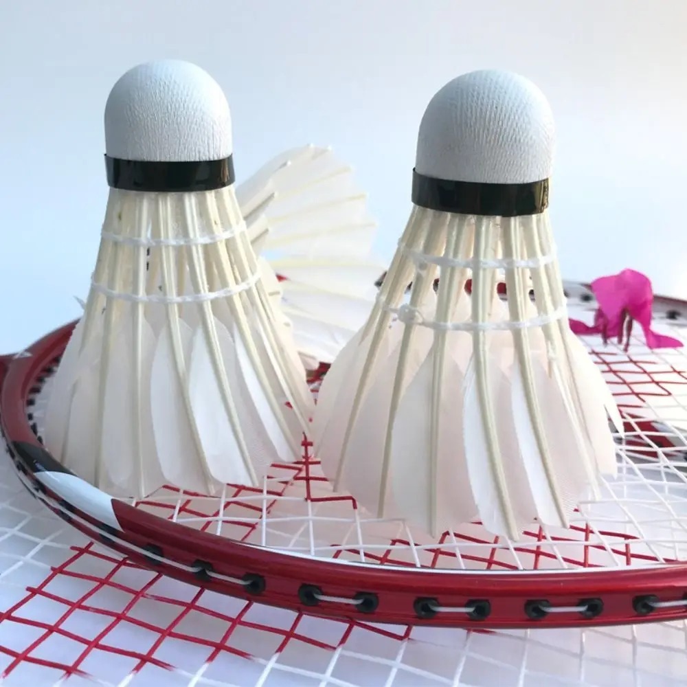 3/6/12PC Volantes de bádminton - Badminton League reseña y precio
